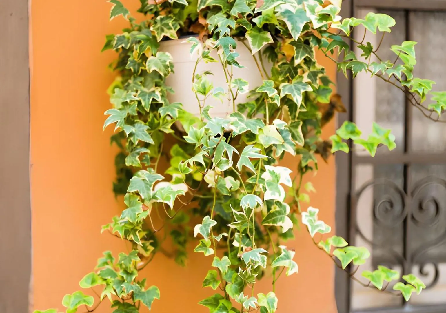 The Best Nest Apartment Rome 0*,